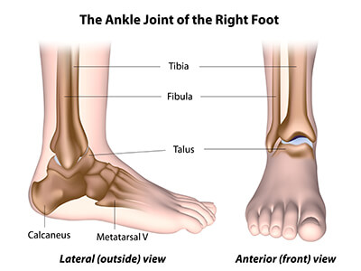 Foot & Ankle Preservation - Baltimore, MD